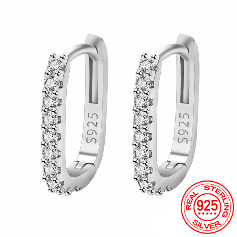Street Fashion Earrings - Hochwertige 925er-Sterlingsilber-Kristall-Mode-Kreis-Creolen für Frau, Hochzeit, Party,
