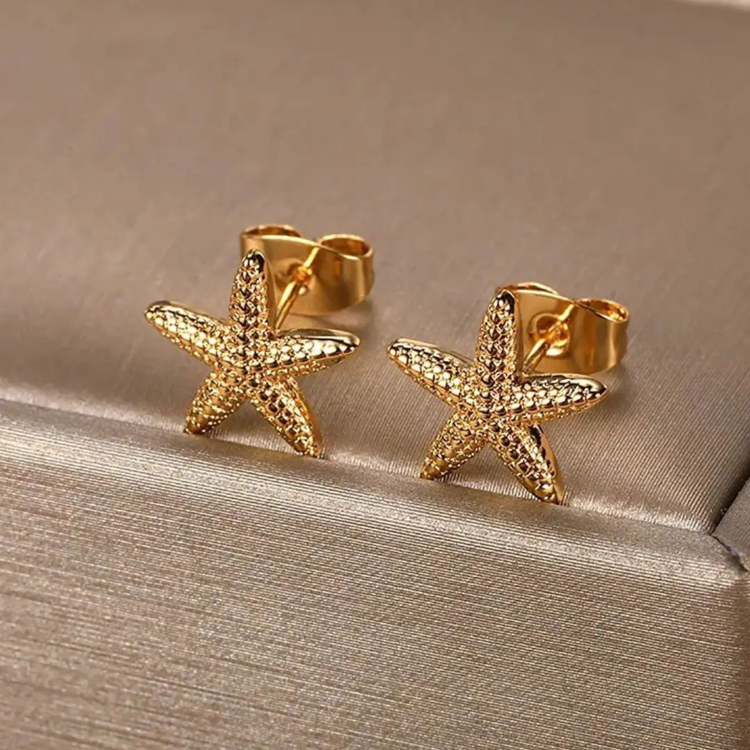 Modische und trendige Seestern – Street Fashion Earrings Bewertung und Preis