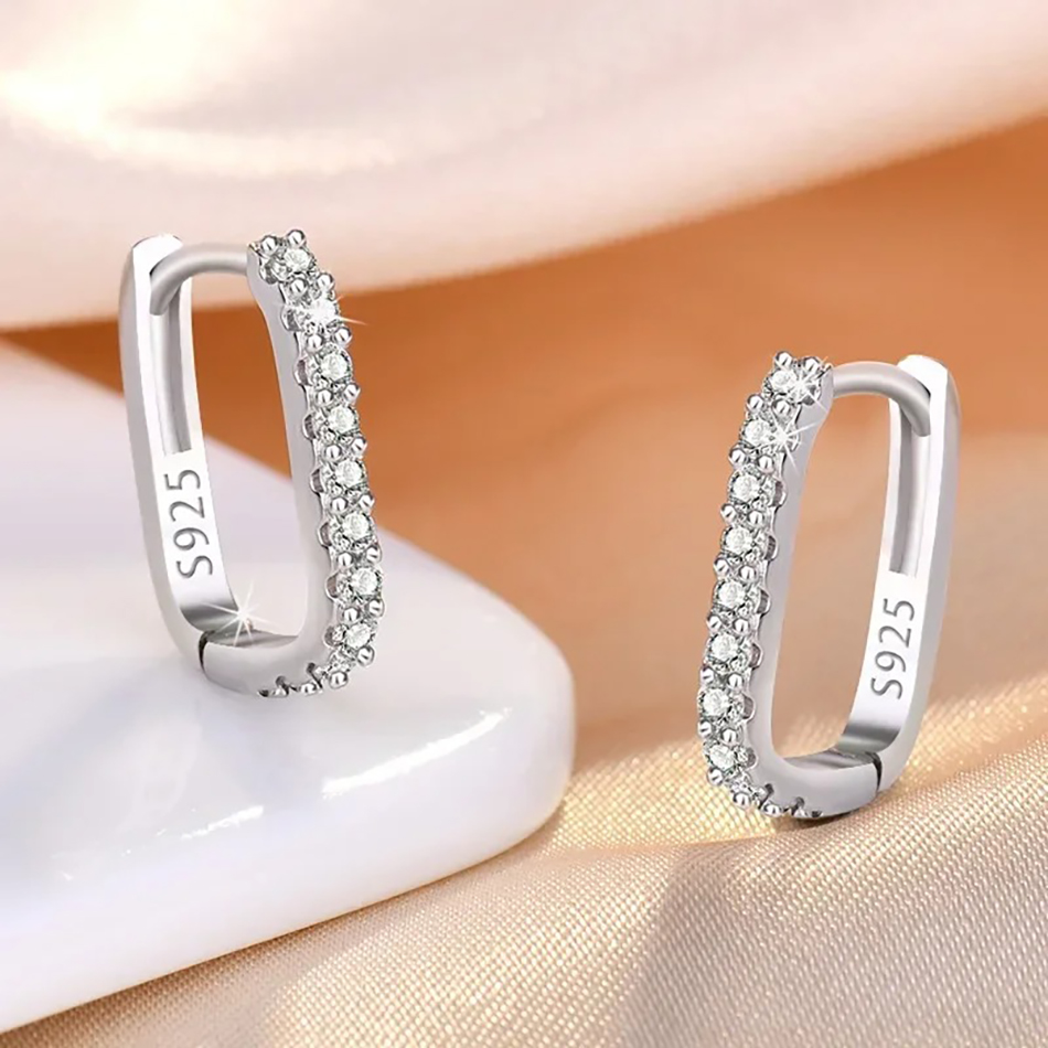Hochwertige 925er-Sterlingsilb – Street Fashion Earrings Bewertung und Preis